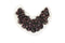 Floral Chiffon on Mesh Applique  APP00166